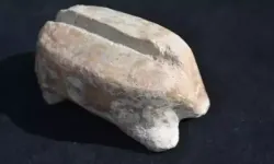 Ulucak Höyüğü'nde 7 bin 700 yıllık marangoz aleti bulundu